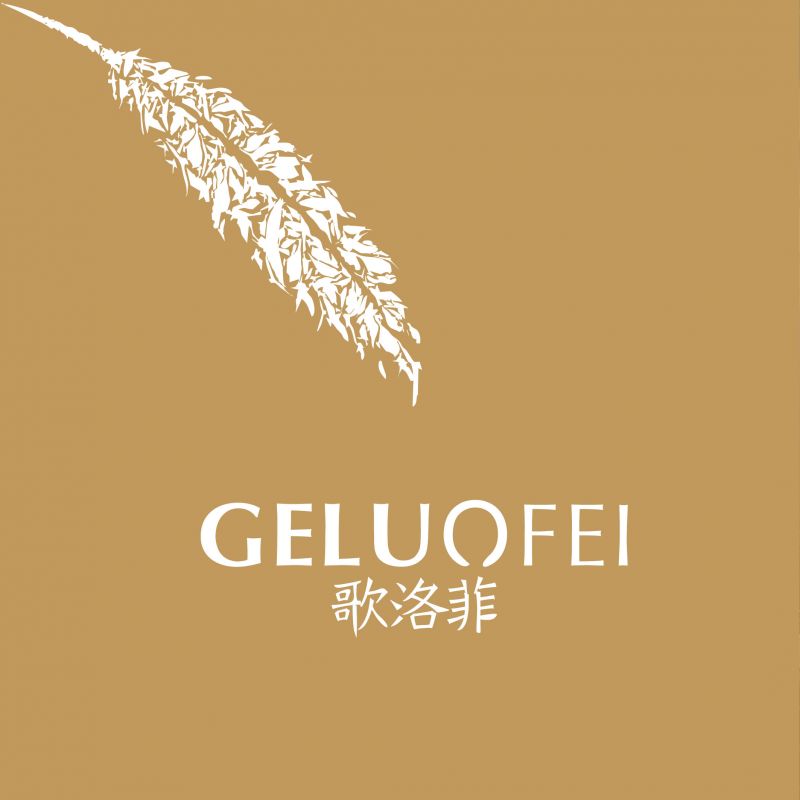 歌洛菲服飾品牌全案設(shè)計