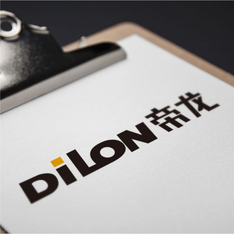 帝龍品牌VI設(shè)計